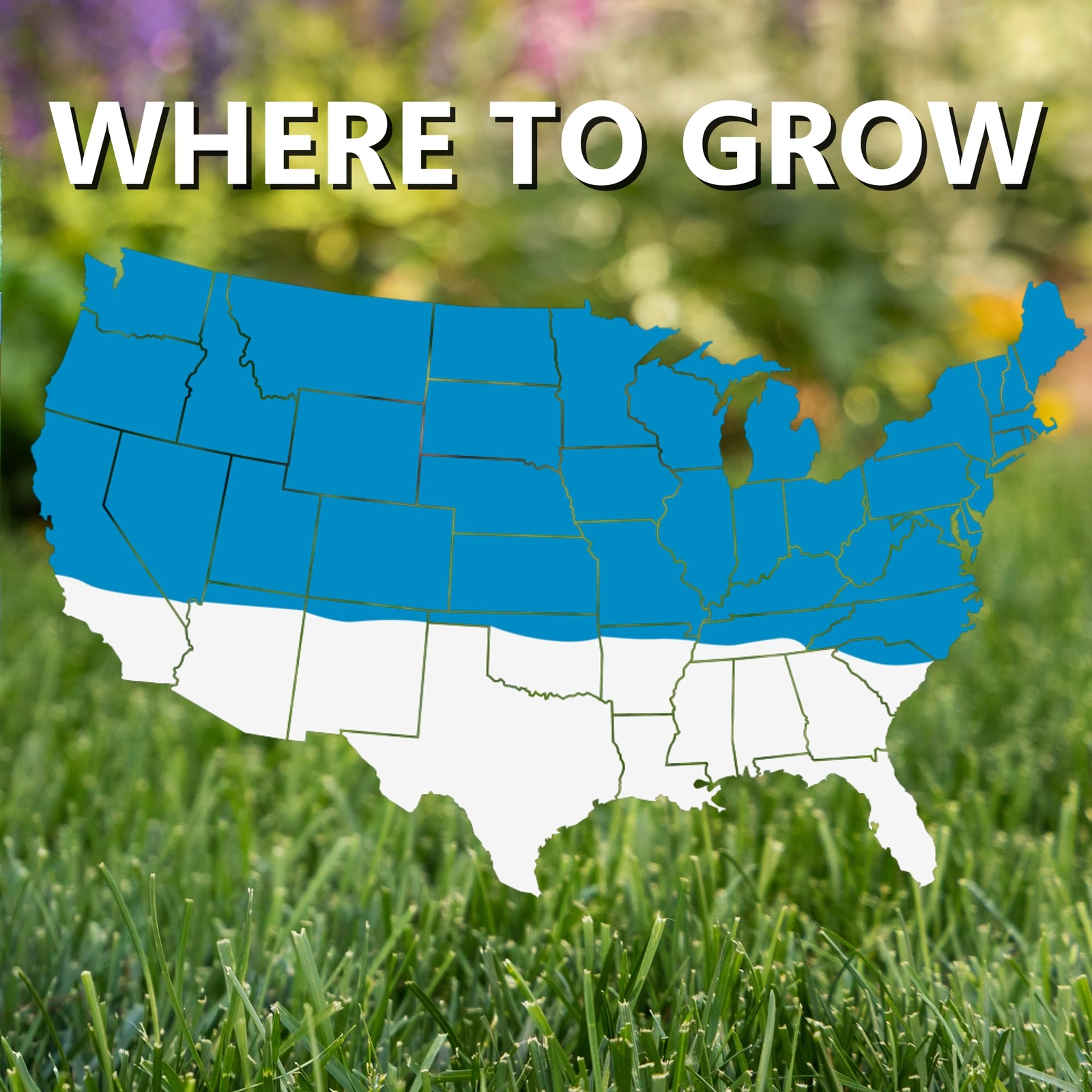 3 lb Kentucky Bluegrass Grass Seed Dark Green Lawn New Yard Overseeding