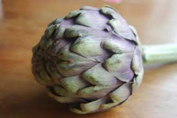 ARTICHOKE SEED, GREEN GLOBE, HEIRLOOM, 500 SEEDS, NON GMO, ARTICHOKES