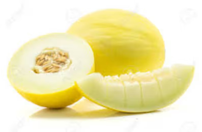 50 Golden Honeydew Melon Seeds. Organic. USA Seeds. Ships free