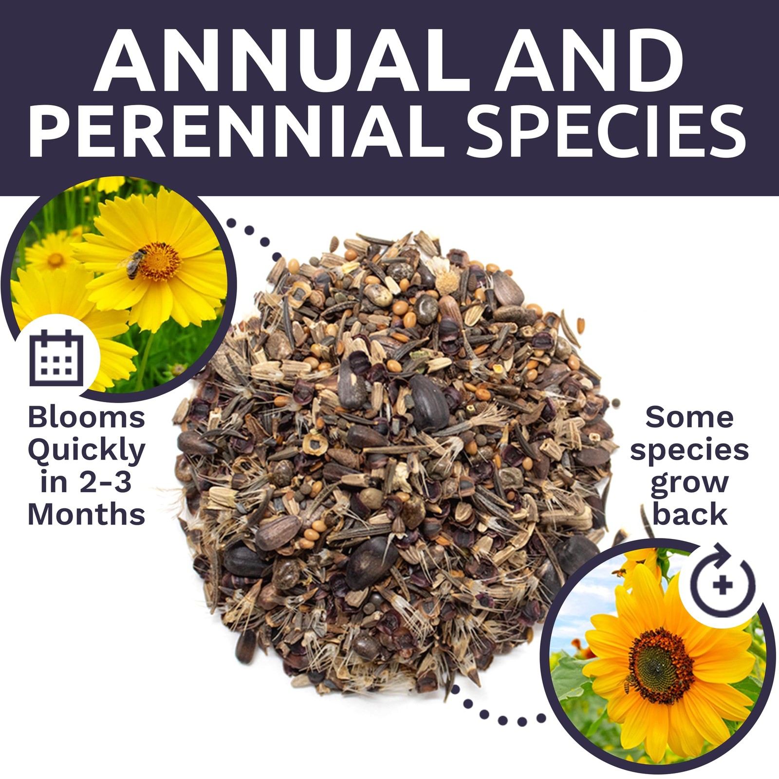 Bee Friendly Wildflower Seed Mix – Bulk 1/4 Pound Bag – Over 30,000 Open Poll…