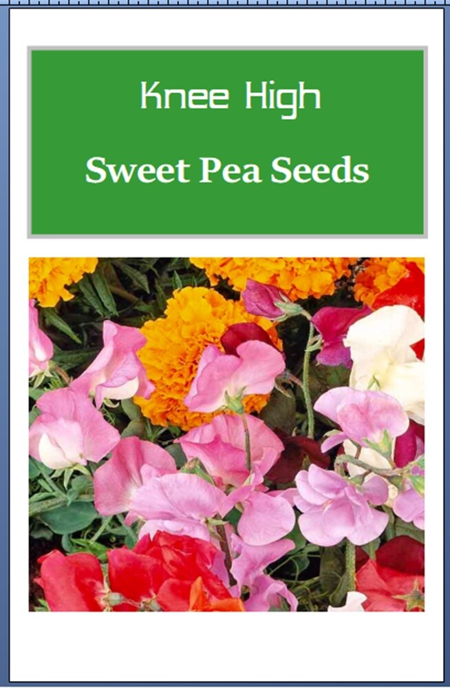 Knee High Sweet Pea Seeds | NON-GMO | Heirloom | Fresh Garden Seeds