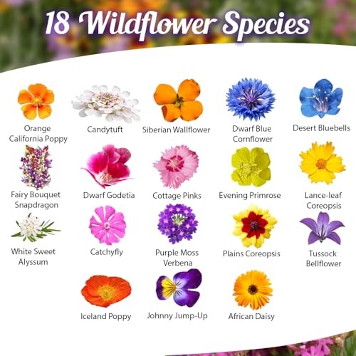 Low Growing Wildflower Seeds Mix – 1oz, 6-12 Inches Short Flowers – Non-GMO