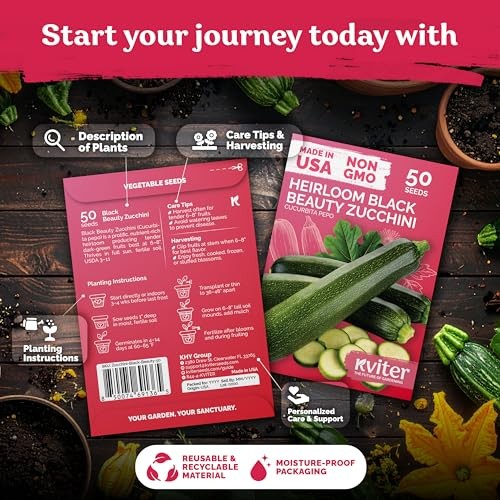 50 Black Beauty Zucchini Seeds for Planting (Cucurbita Zucchini Black Beauty