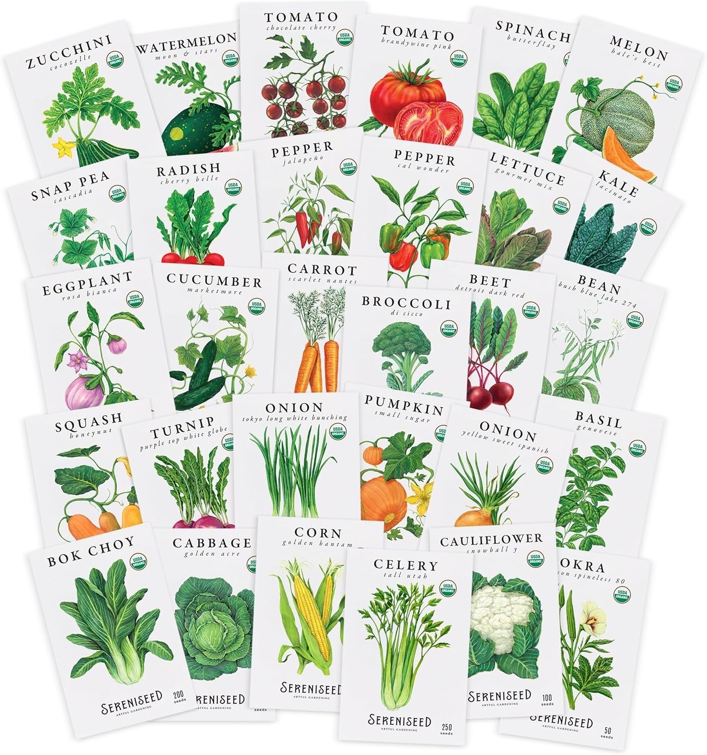 Variety Pack of Certified Organic Vegetable Seeds for Spring to Fall Gardening