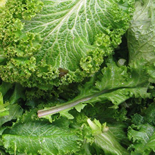 Mustard Greenwave Great Heirloom Vegetable By Seed Kingdom BULK 50,000 Seeds