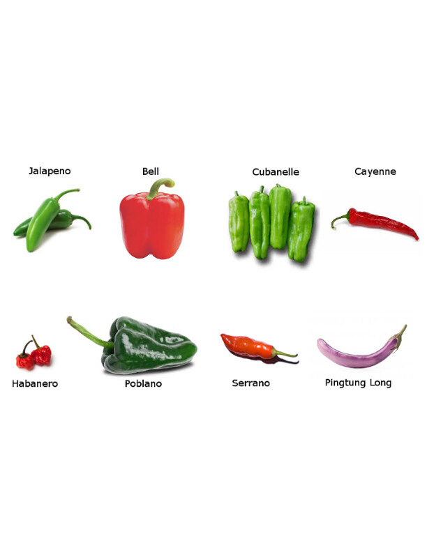Pepper & Tomato SEEDS – 2022 harvest for 2023 planting, free ship, big discounts