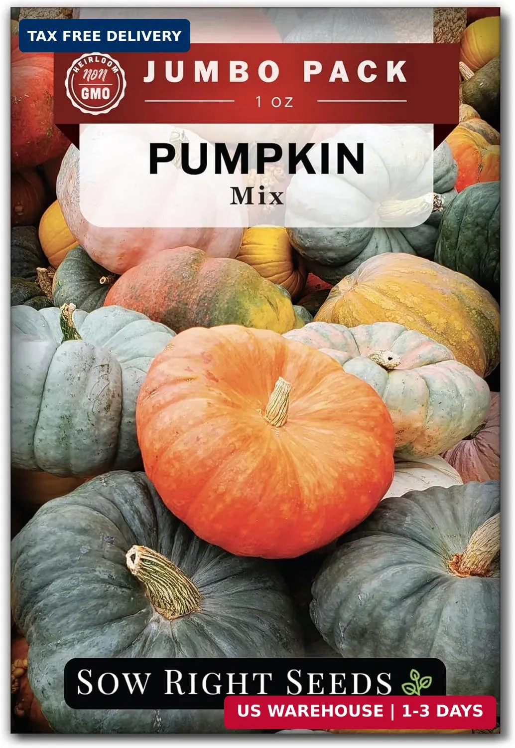 Sow Right Seeds – Bulk Mixed Pumpkin Seeds for Planting – 1 Ounce, 140 Seeds – N