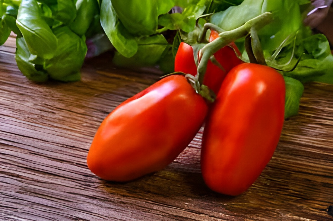 75 Heirloom San MarzanoTomato Seeds – Gourmet Italian Tomato – Indeterminate