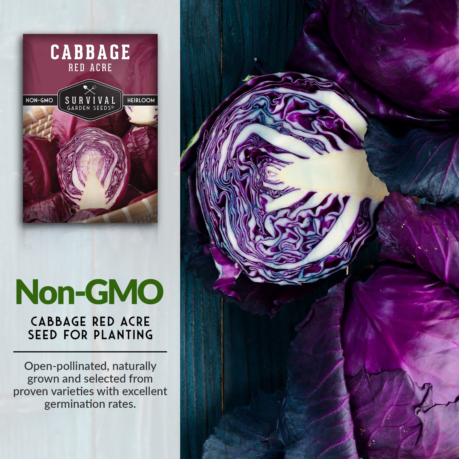 Red Acre Cabbage Seeds for Planting – Heirloom Purple Variety with Compact He…