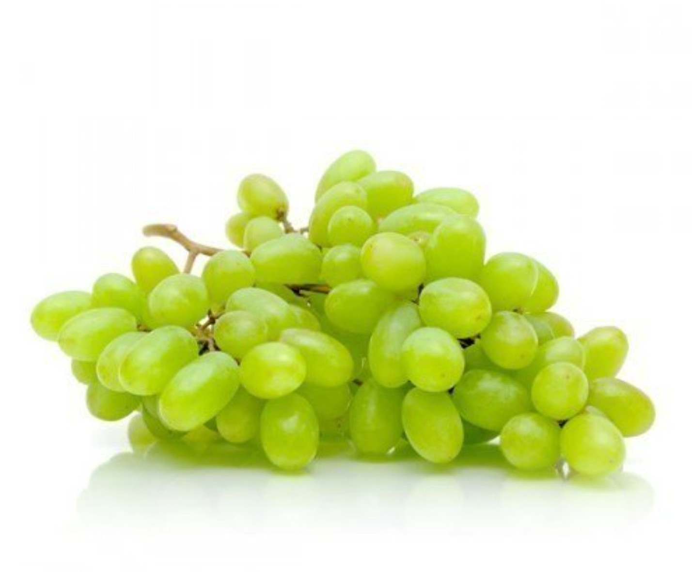 1 (One) Live “THOMPSON” GRAPE PLANT ROOTED about 10-26″ tall.