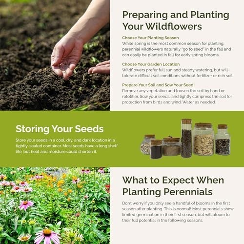 Midwest Wildflower Mixed Seeds – 120,000+ Perennial Seeds for Planting, Attracts