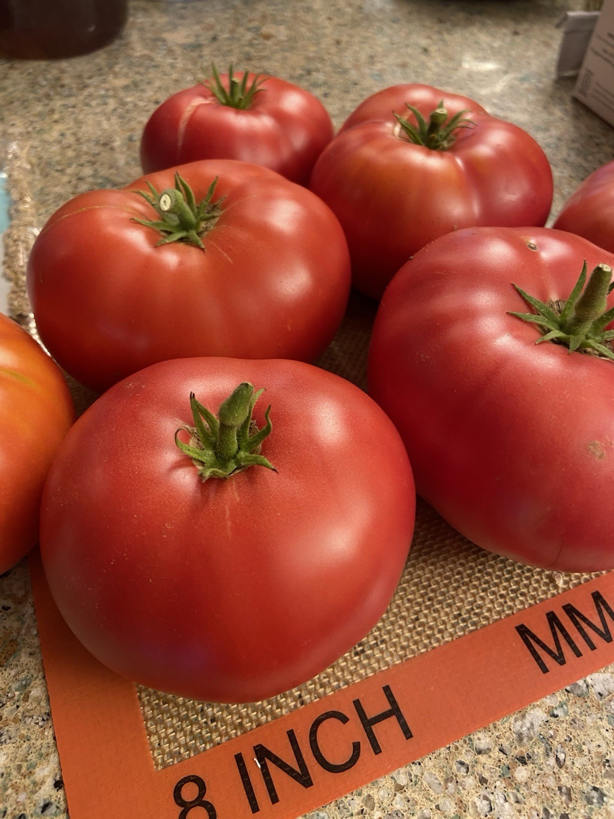 25+ seeds of ED’S MILLENNIUM Tomato -Indeterminate Variety- Solanum lycopersicum