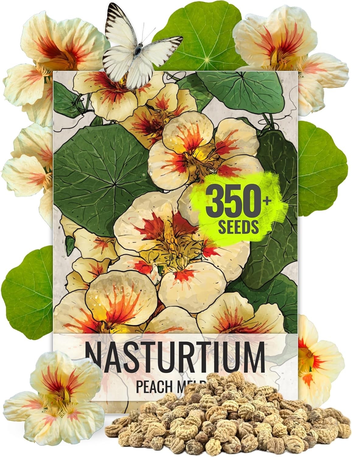 Nasturtium Seeds Peach Melba Variety | 350+ Seeds Tropaeolum Nanum Annual Flo…
