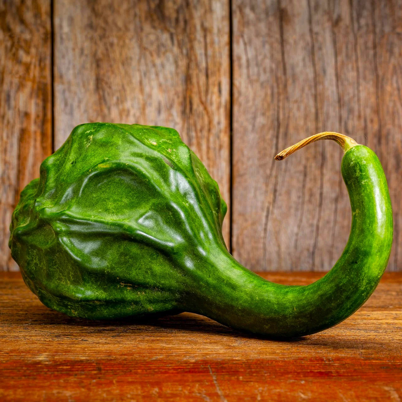 Caveman’s Club Gourd Seeds | Maranka Ornamental Birdhouse Bottle Craft Seed 2025
