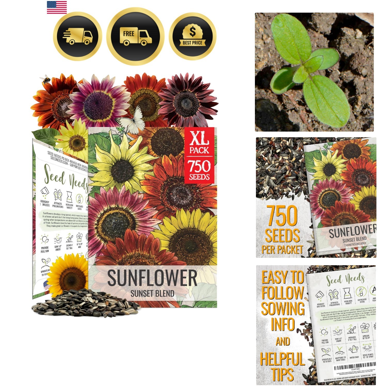 Sunflower Seeds to Plant Sunset Blend 7 Varieties Mix | 750+ Seeds Helianthus…