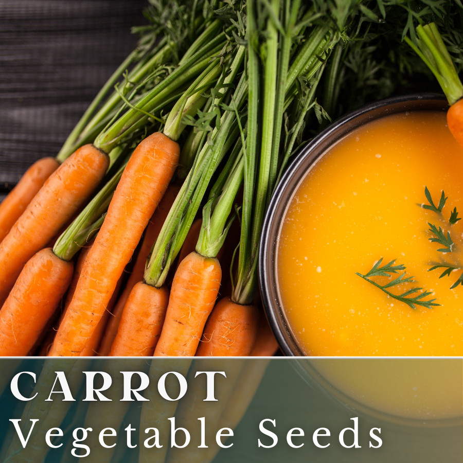Carrot Vegetable Seeds 400+ Seeds Garden Seeds, Non GMO, Multiple Varieties