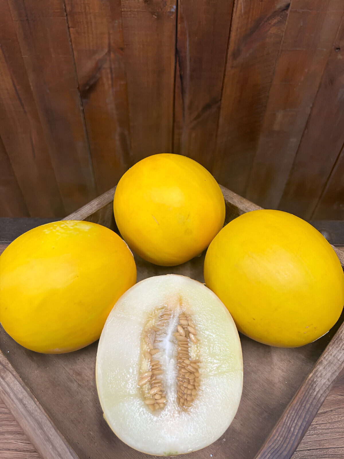 40 Heirloom Canary Melon Seeds – Devine Creamy Sweet White Flesh