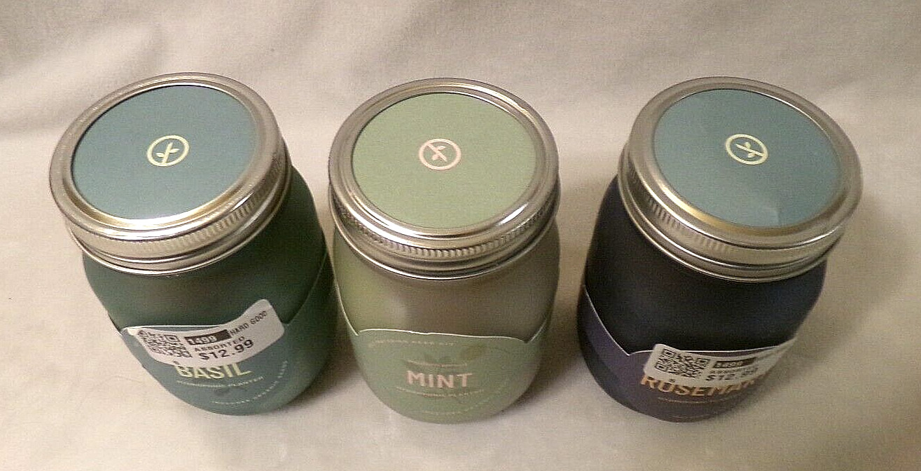 NWT 3 PC SET of MODERN SPROUT SELF-WATERING HERB KIT HYDROPONIC PLANTERS