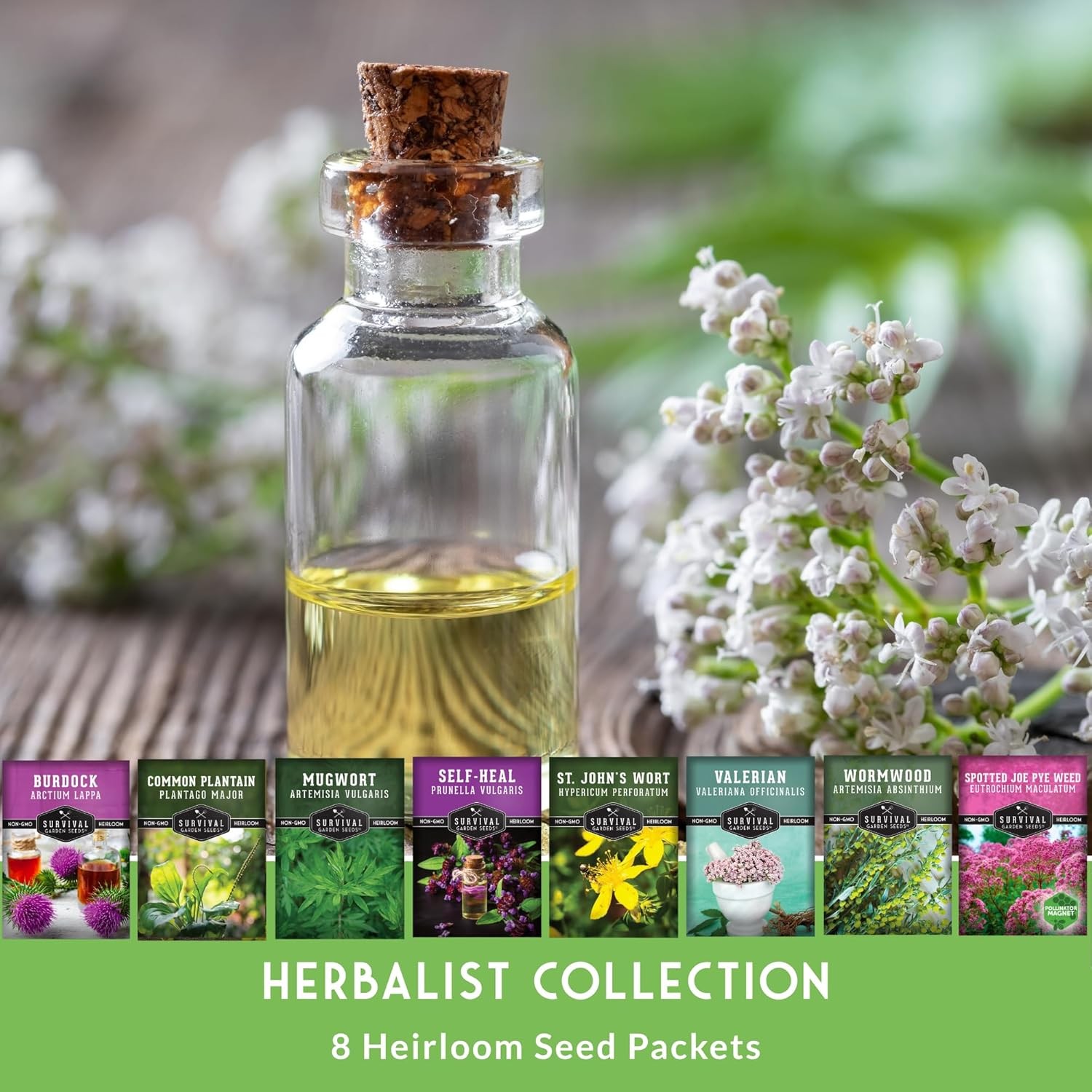 Advanced Medicinal Herb Seeds Collection – Variety Pack for Planting with Planta
