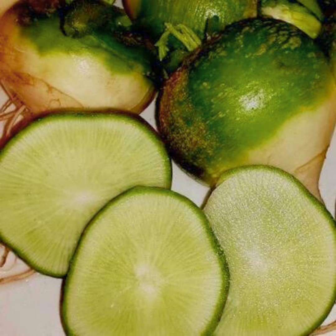 Fresh Premium Wasabi Radish Seeds | Heirloom Non-GMO | Asian Vegetable Seeds