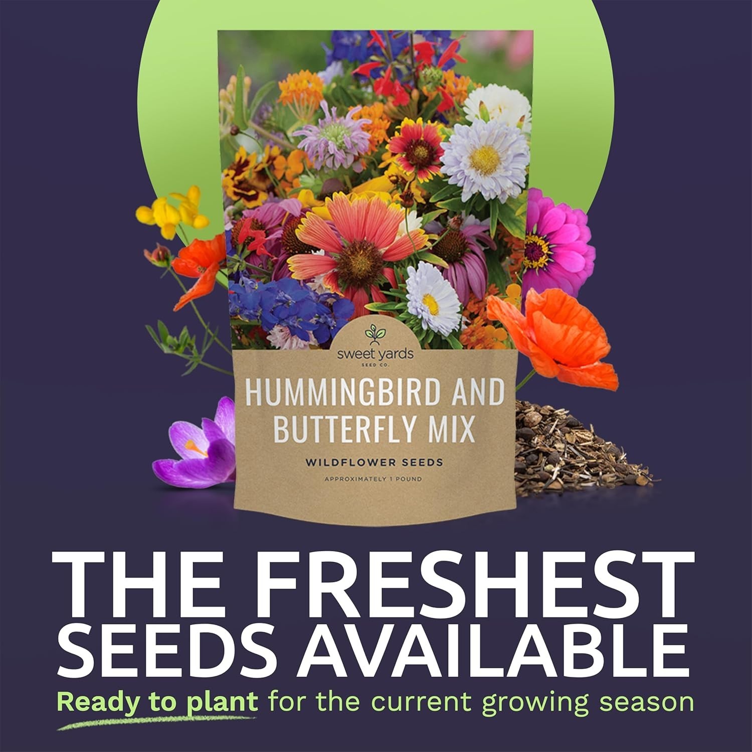 Hummingbird Butterfly Wildflower Seeds Mix
