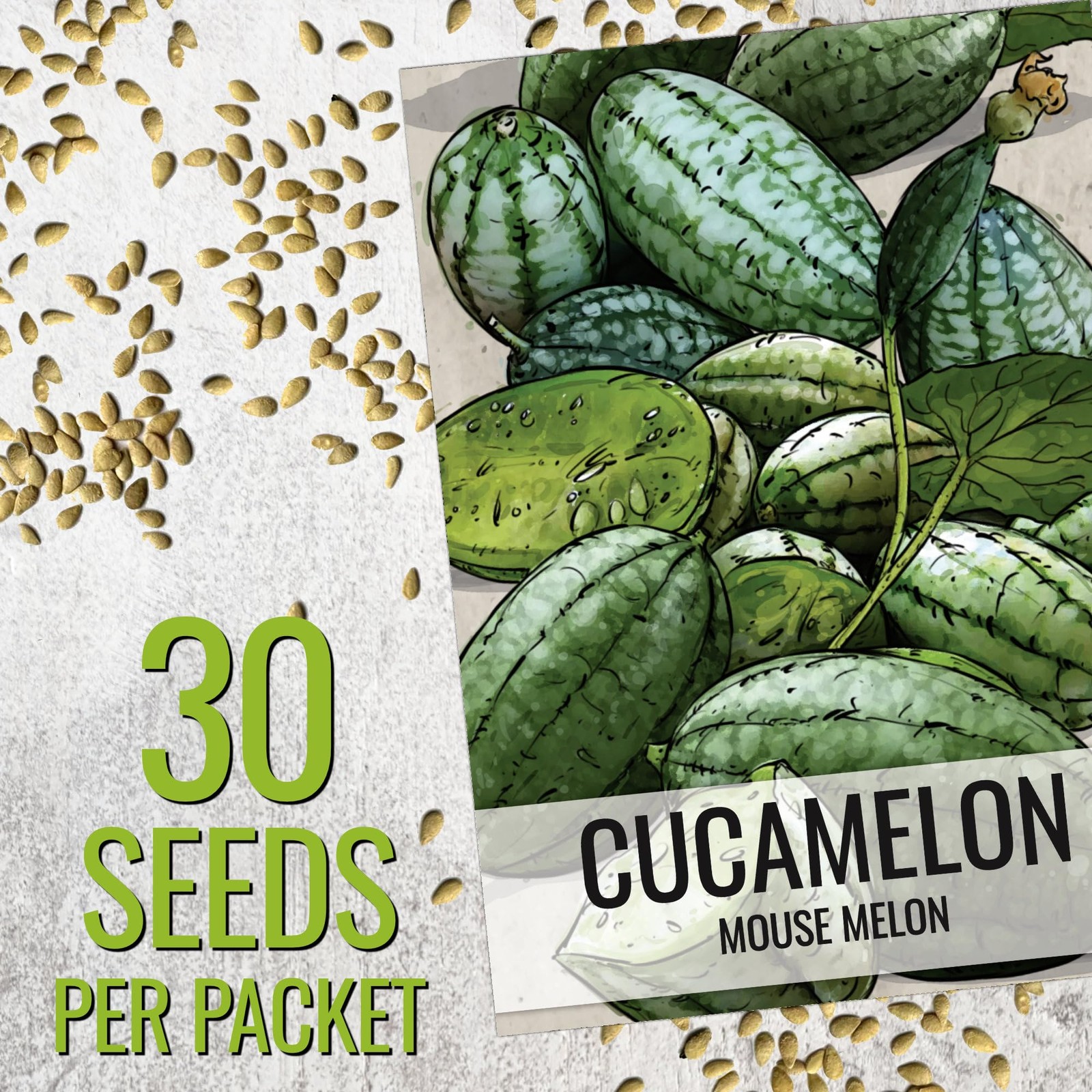Needs Cucamelon Seeds for Planting Mexican Sour Gherkin Miniature Melons – No…