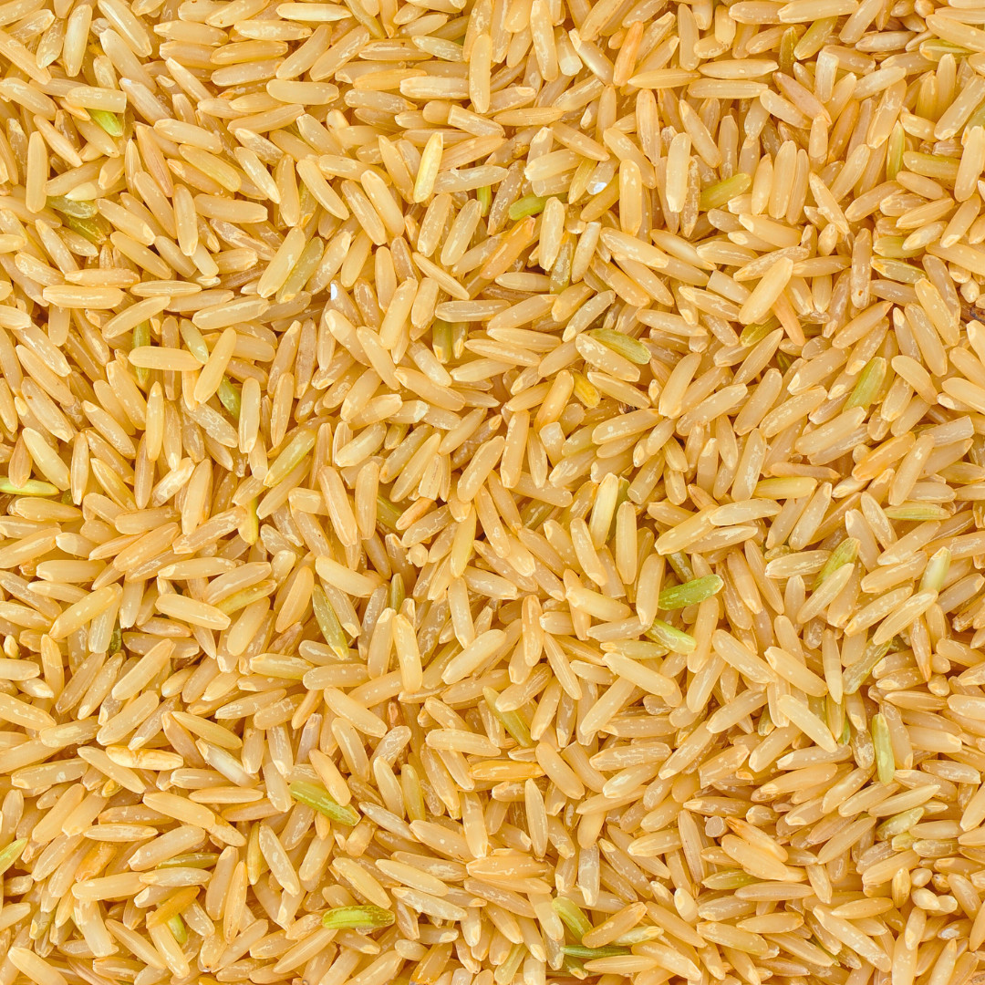 Fresh Thai Brown Jasmine Rice Plant Seeds | Organic | Heirloom Non-GMO | Grains