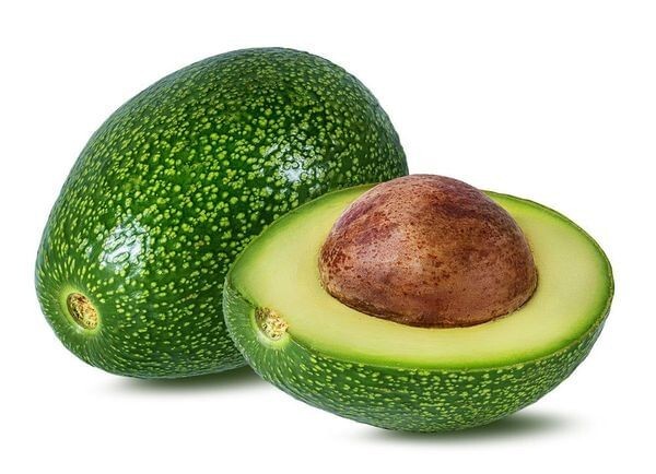 Very Rare dwarf Little Cado Avocado- 3 cuttings, fresh, easy to grow