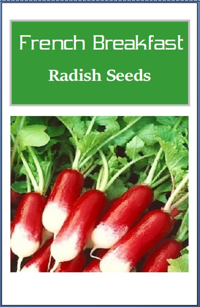 French Breakfast Radish Seeds | NON-GMO | Heirloom | Fresh Garden Seeds