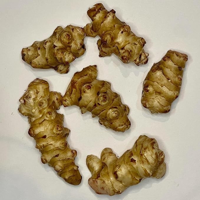 Jerusalem Artichokes set 5 Tuber Pack Raw Sunchokes food Brown