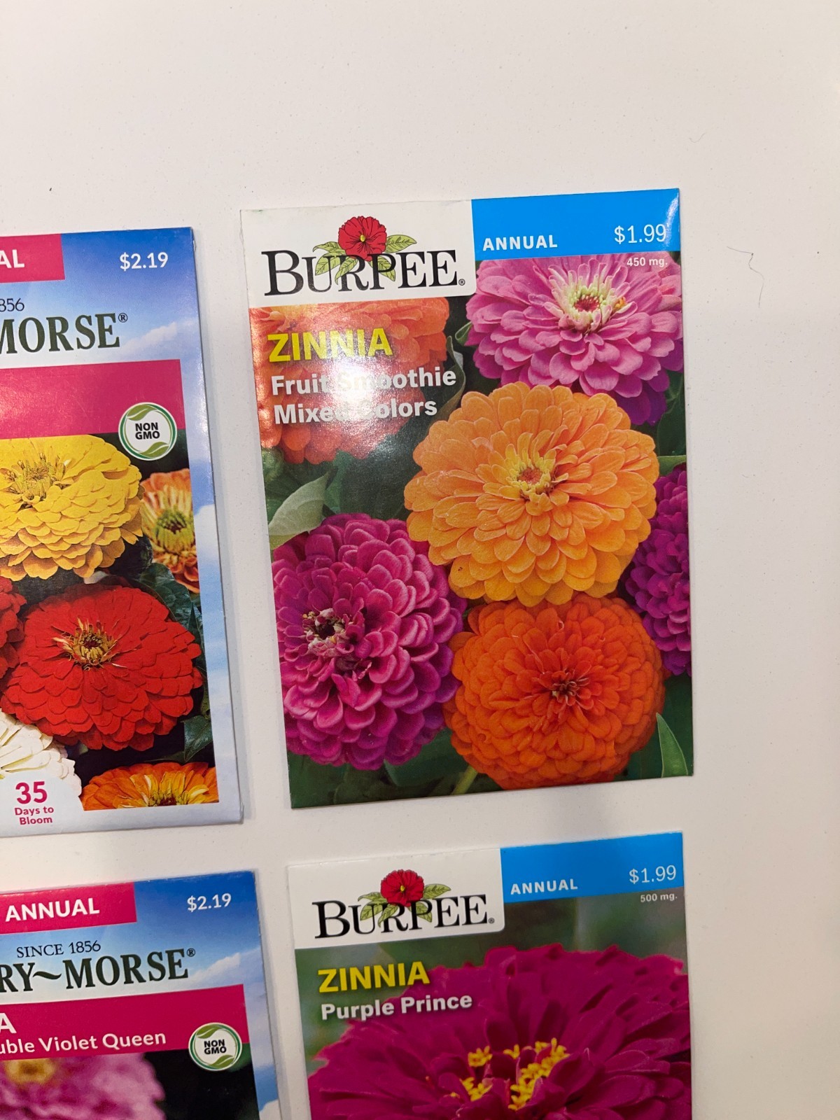 10 PACK BUNDLE LOT ZINNIA SEEDS