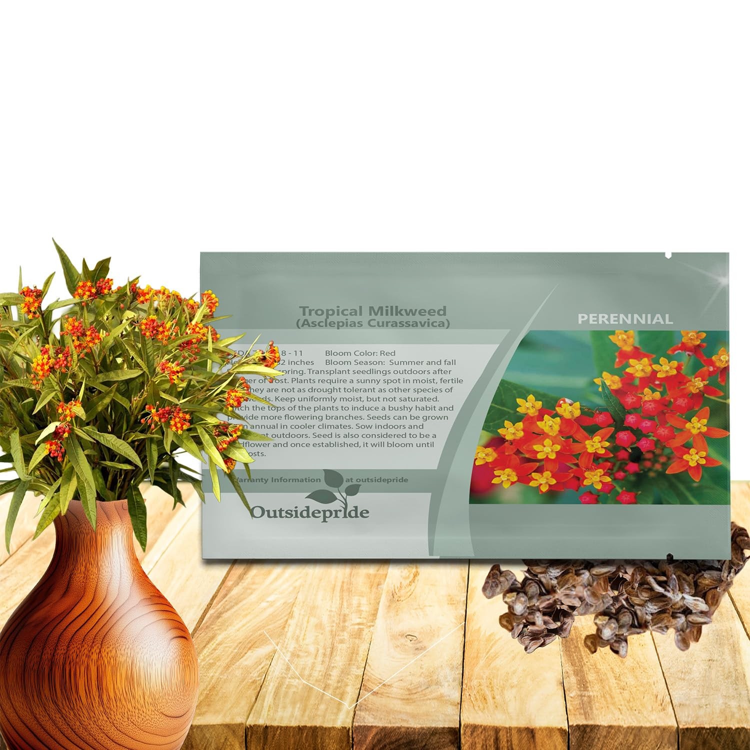 Tropical Milkweed Seeds – 1000 Pcs , Heat & Humid Tolerant, Pollinator-Friend…