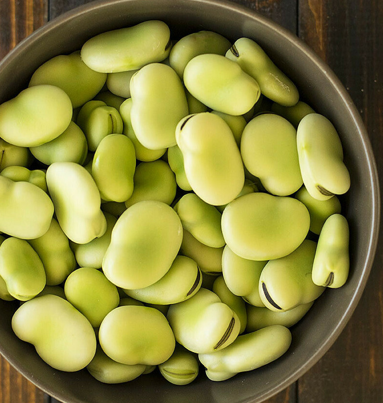 Aquadulce Fava Bean Seeds | Broad Windsor Faba Beans Lima Vegetable Seed 2024