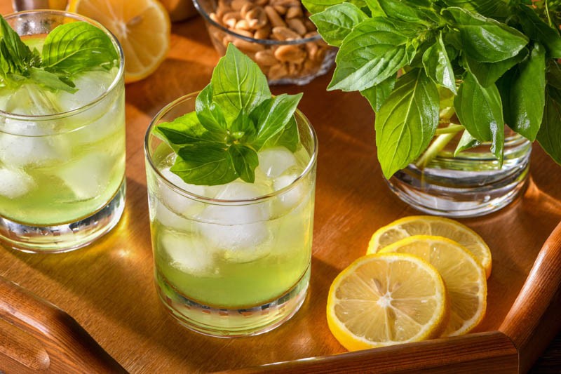 Lime Basil Seeds, Hoary Basil, NON-GMO, Free Shipping!