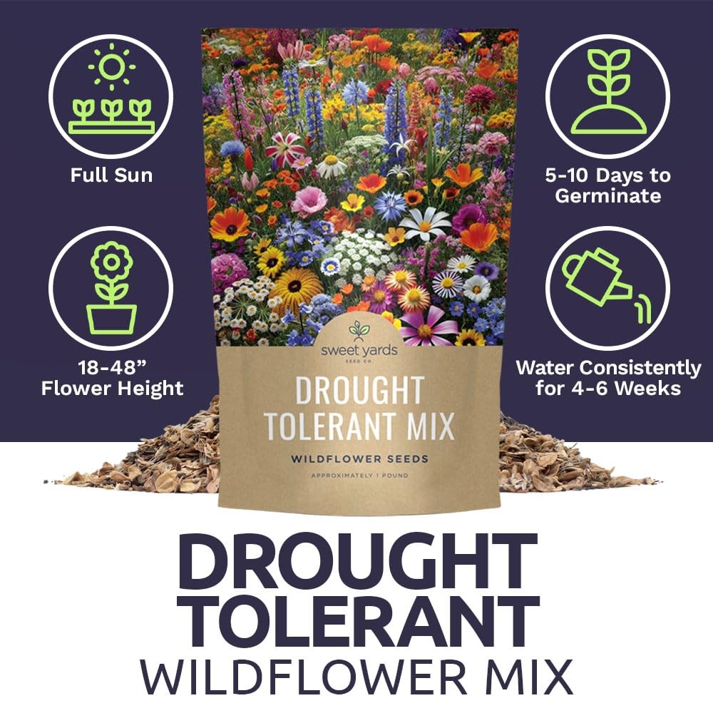 Drought Tolerant Wildflowers Mix – Bulk 1 Pound Bag – Over 120,000 Open Polli…