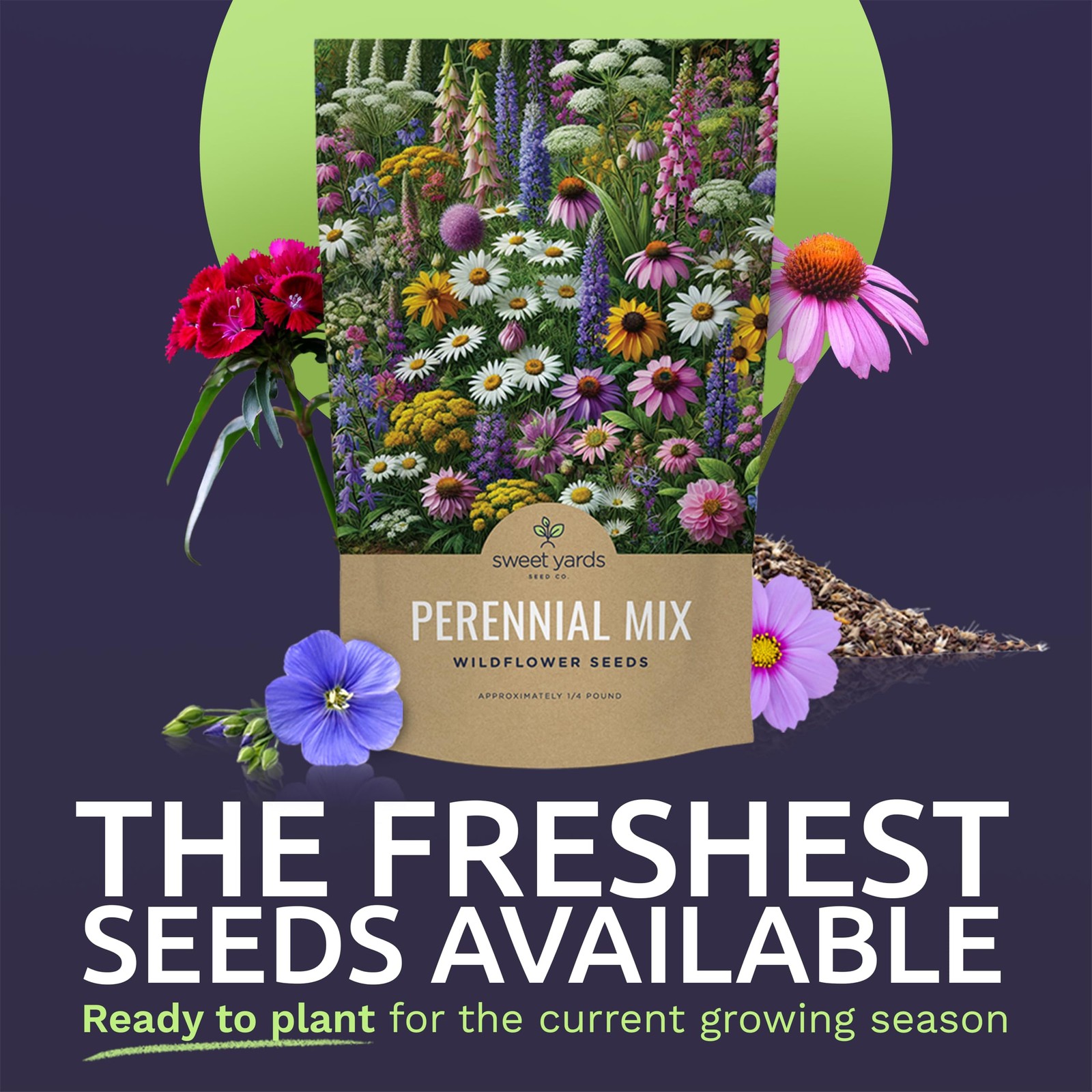 Perennial Wildflower Seeds Mixture – Bulk 1/4 Pound Bag – Over 60,000 Pure Li…