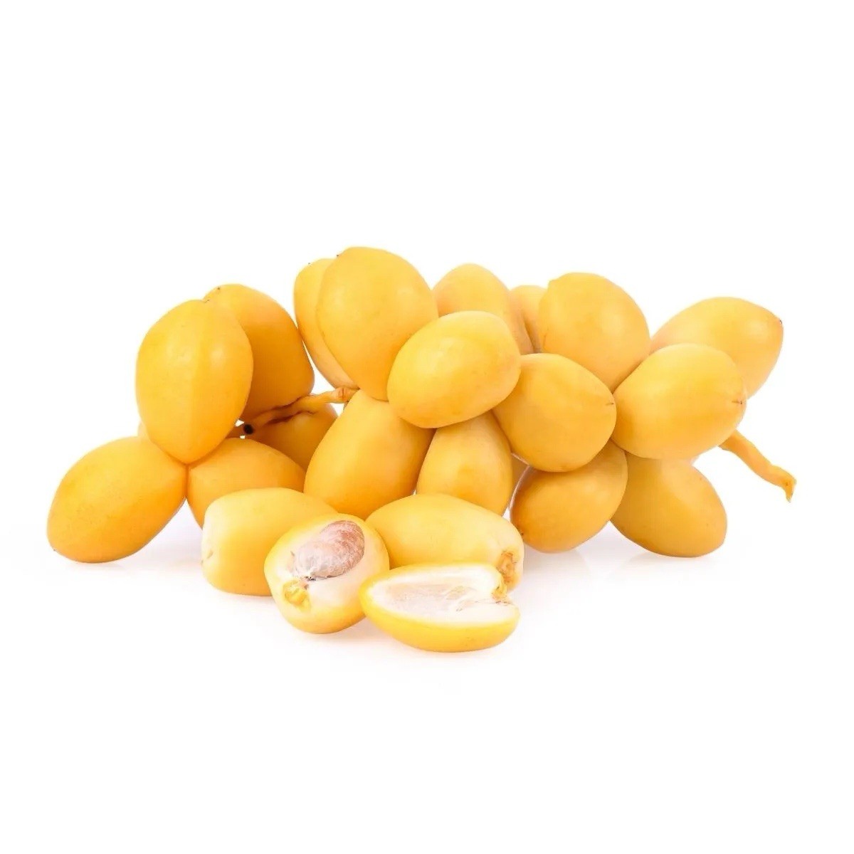 Medjool Date Palm, Phoenix Dactylifera – 30 Seeds 2025 – USA