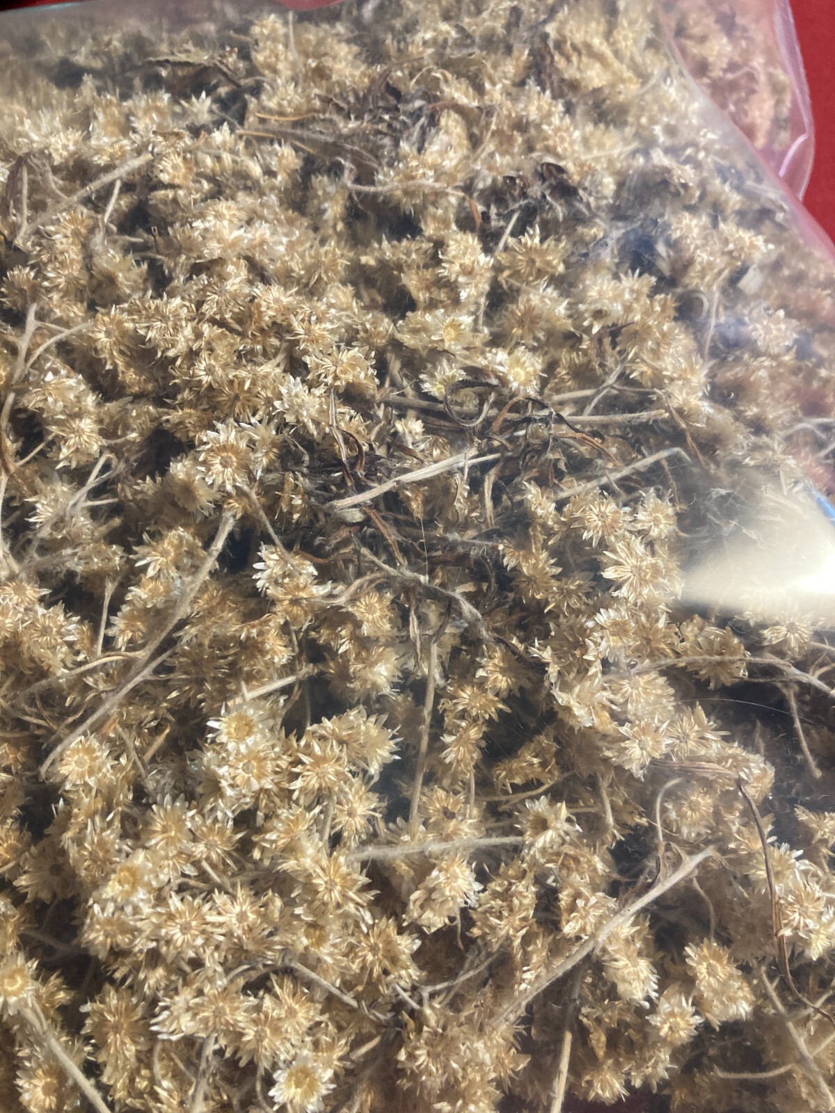 Two Gallons Sweet Everlasting Leaf & Dried Flower Grown Organically HUGE BAG