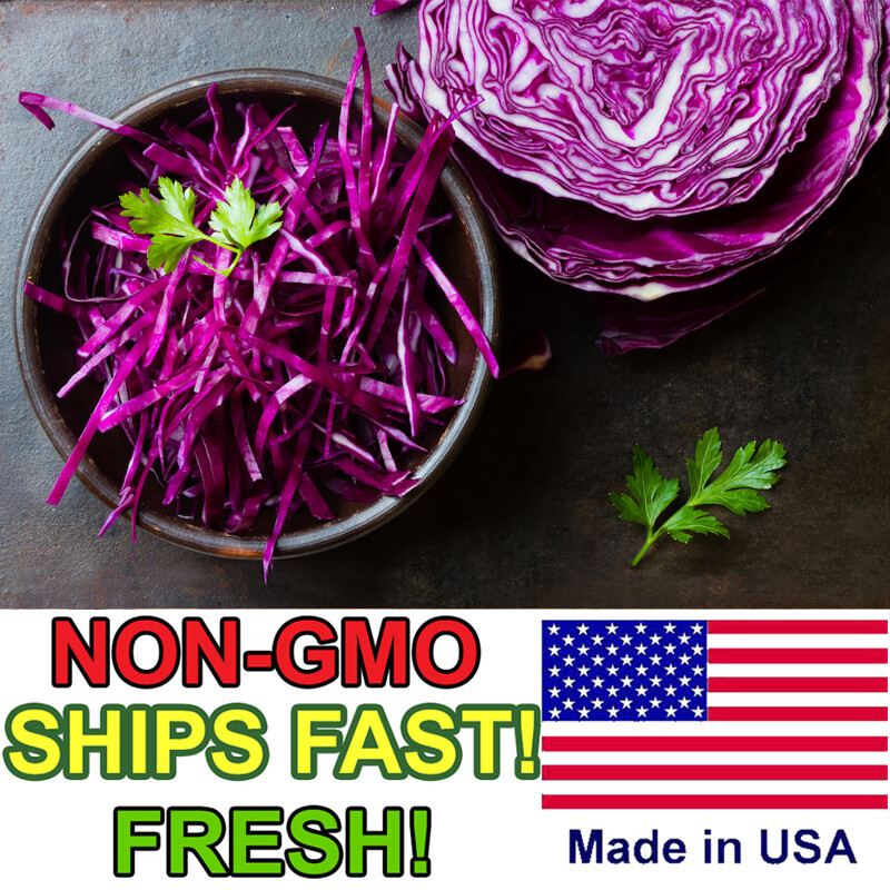 400+ Red Cabbage Seeds | Non-GMO | Fresh Garden Seeds USA Free Shipping