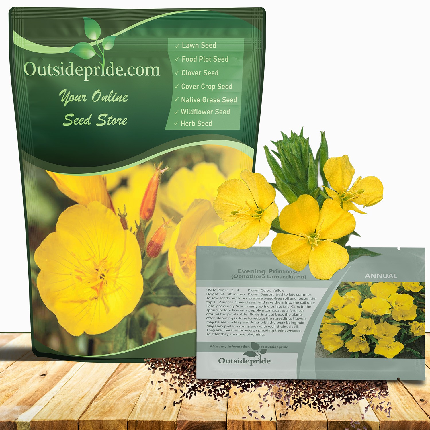 5000 Seeds Yellow Primrose Seed For Planting – Oenothera Evening Primrose