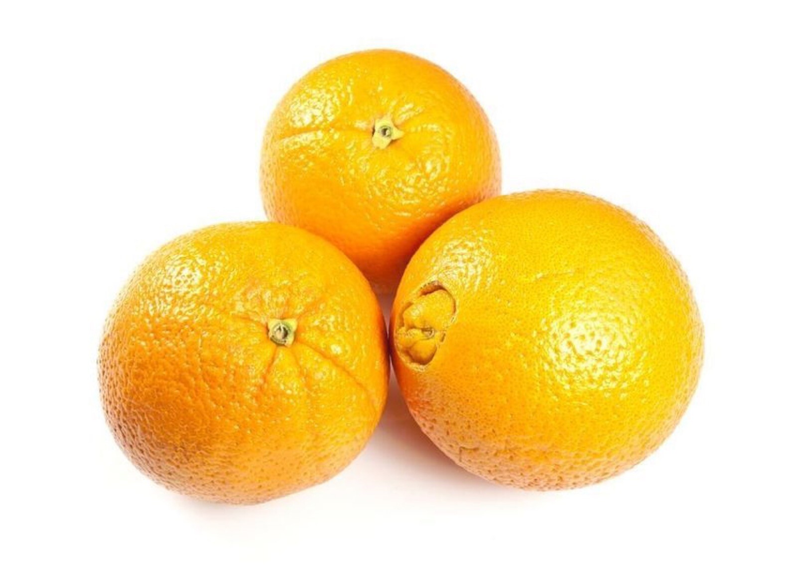 For Texas Only! Washington Navel Semi-Dwarf Orange Tree, 2 yo, 3-4 feet tall