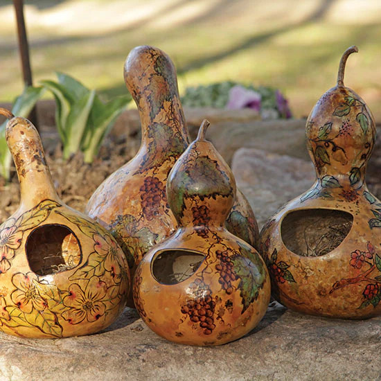 Birdhouse Gourd Seeds |USA Bird Bottle Calabash Chinese Asian Buddha Squash 2024