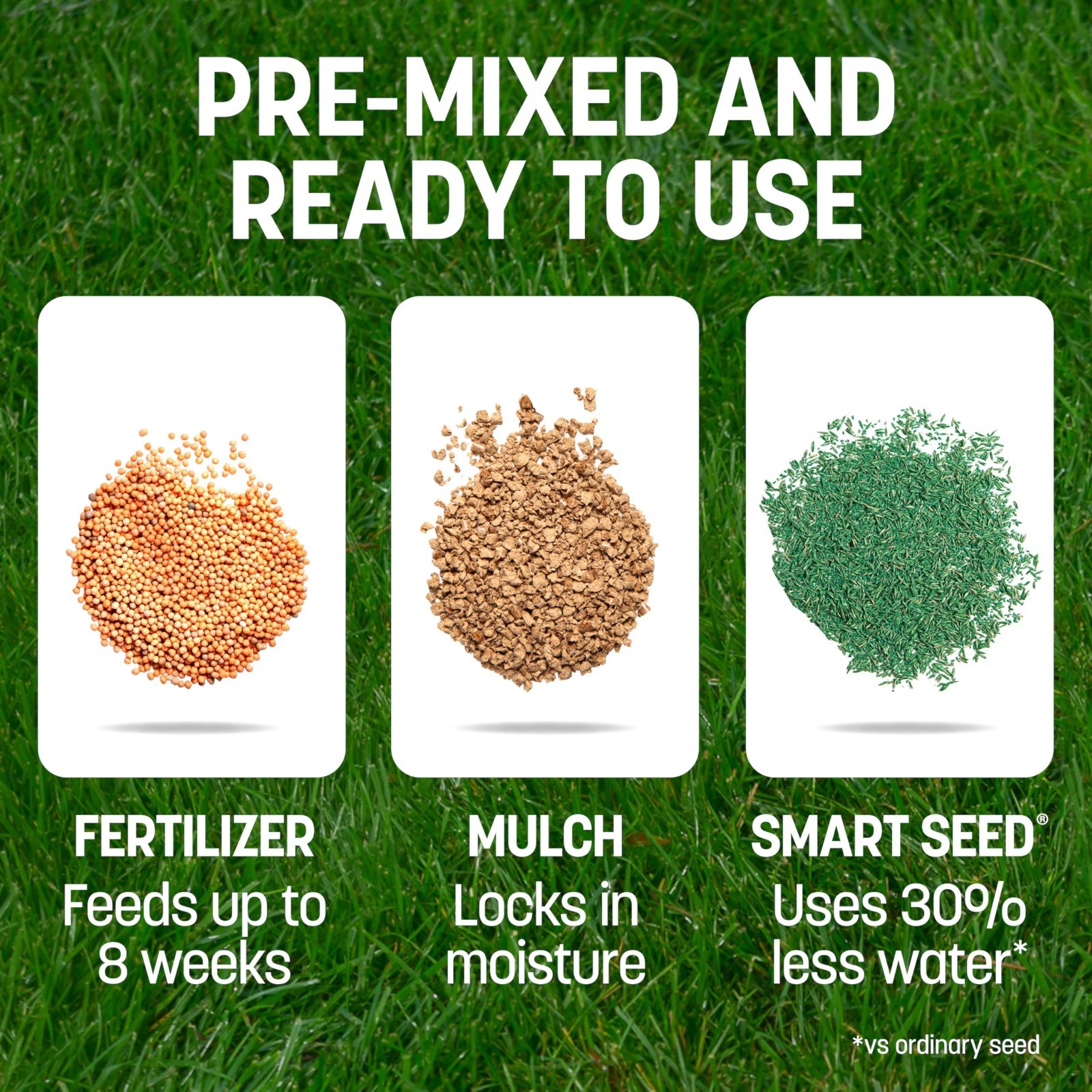Bermuda Grass Seed 5 lb Jug – Smart Patch for Lush Lawn Repair & Growth