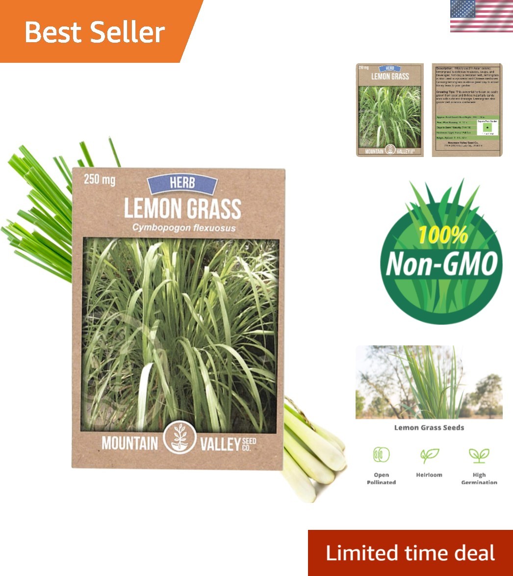 High Germination Lemongrass Seeds – 250 Mg for Winter Planting – Indoor/Outdoor
