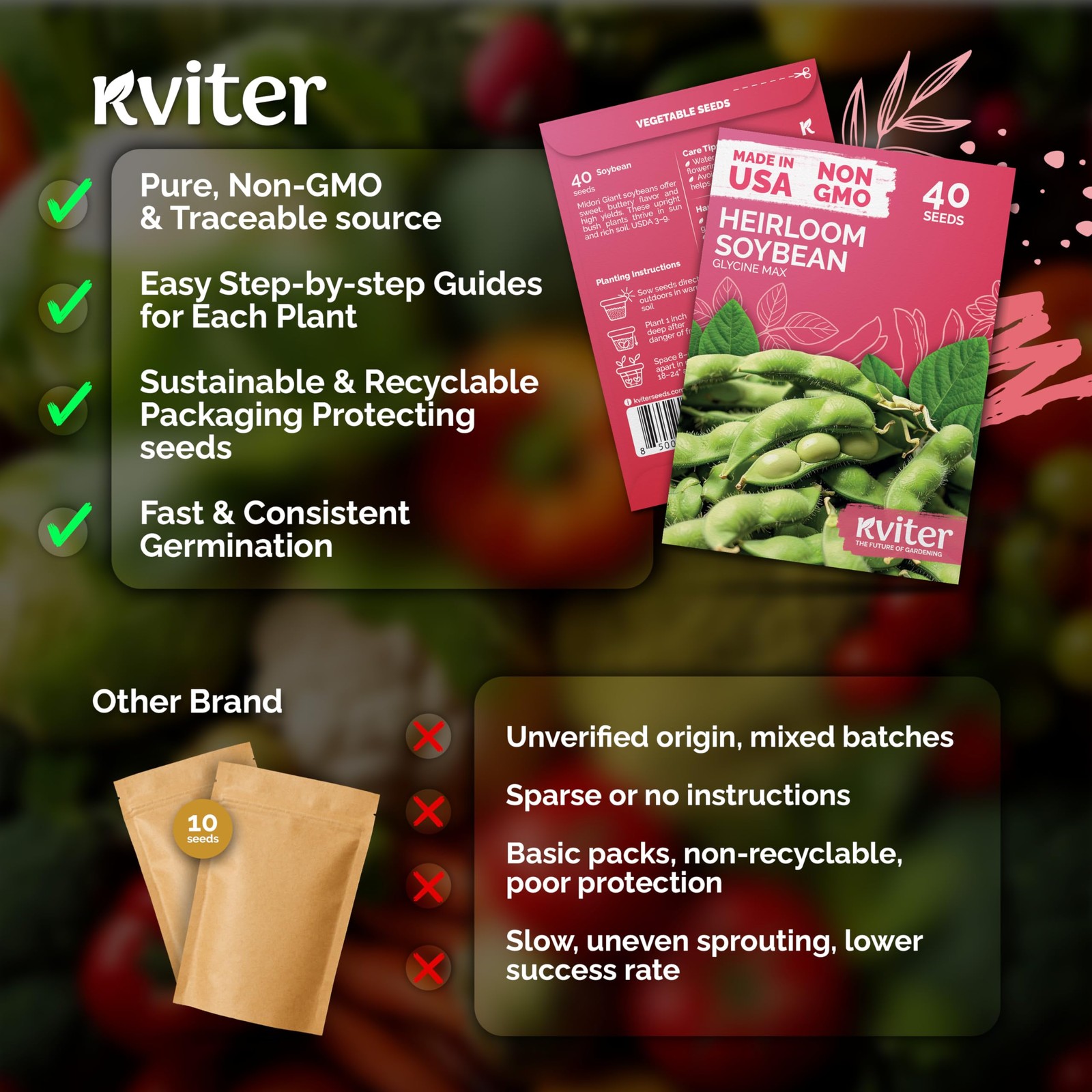 KVITER 40 Soy Bean Midori Giant Edamame Seeds (Glycine max)