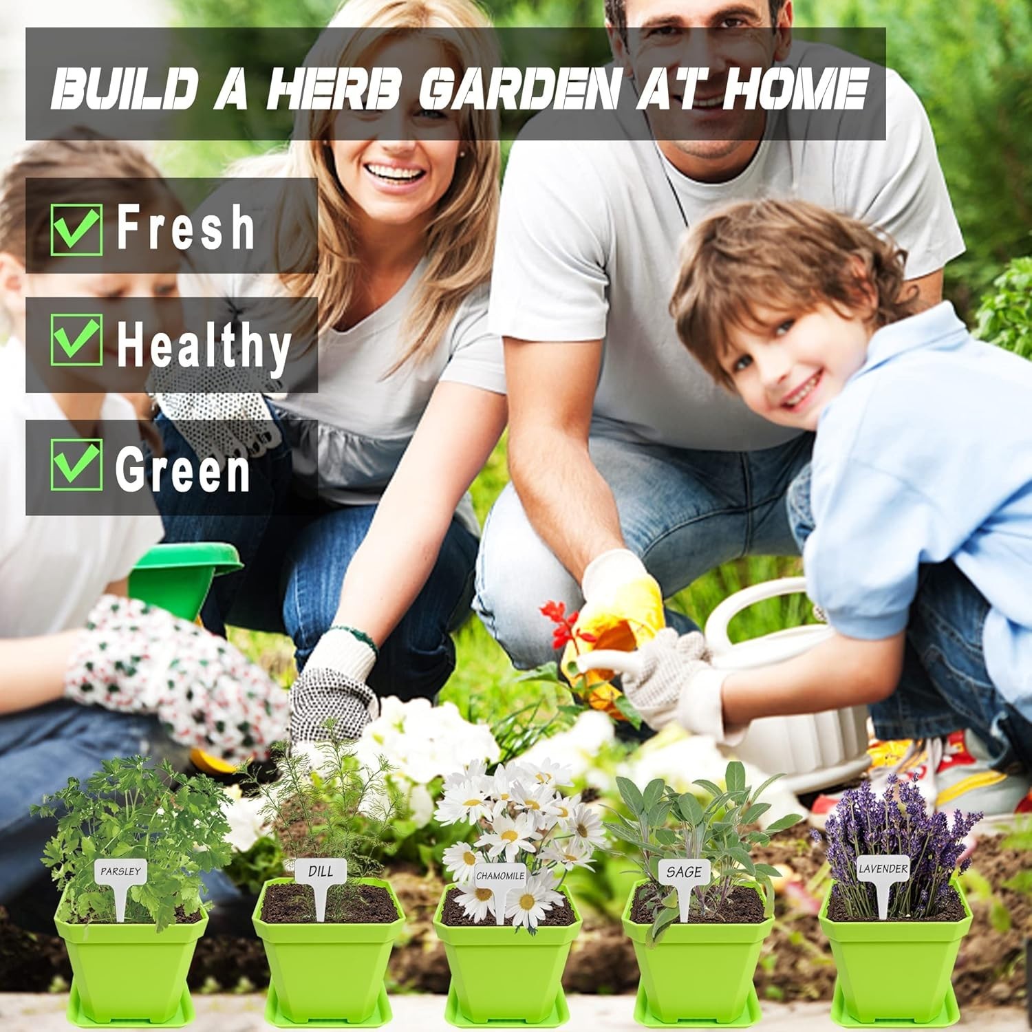 10 Herb Seeds Garden Starter Grow Kit with Green Pots, Markers, Nutritional S…