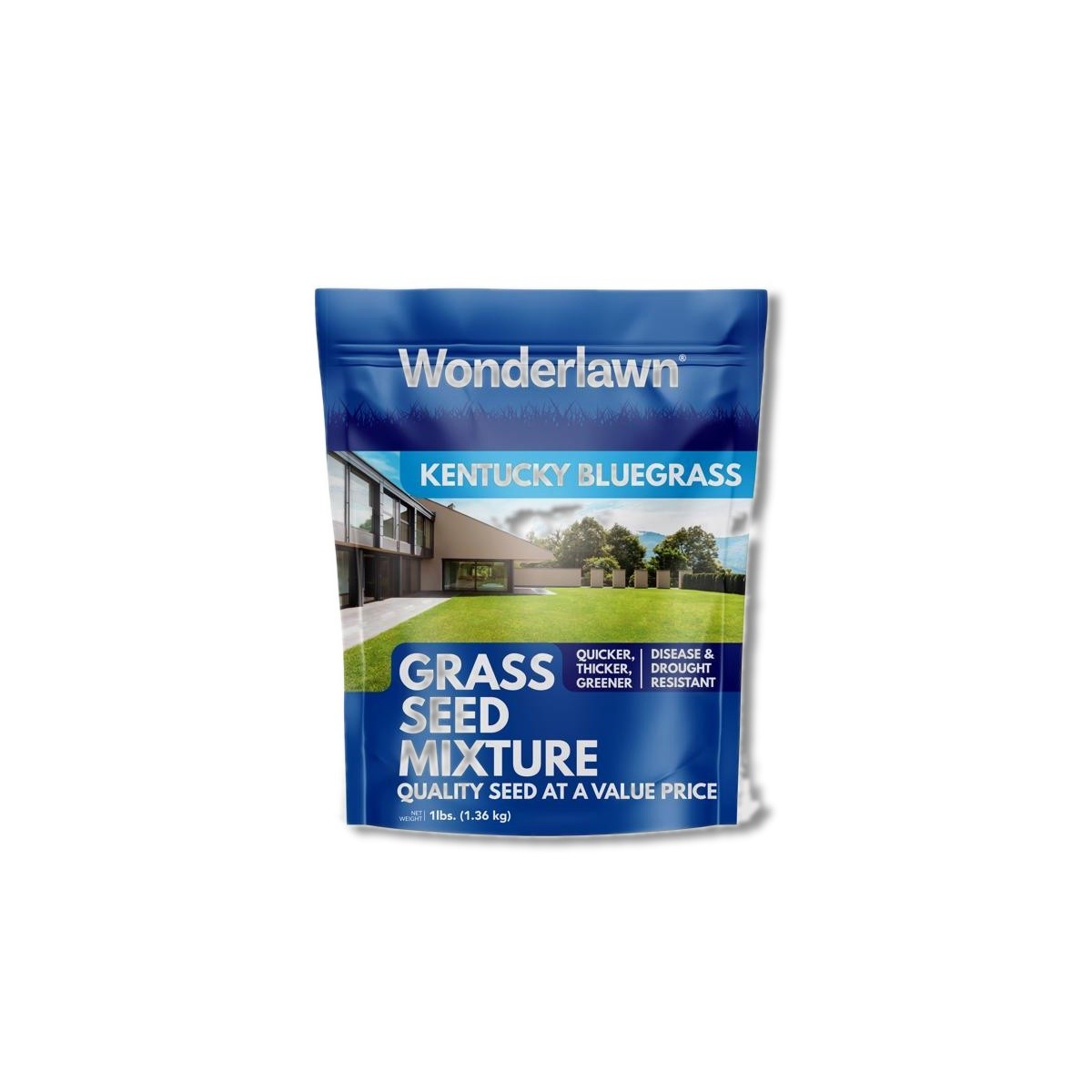 Wonderlawn Kentucky Bluegrass Full Sun Grass Seed 1 lb WLKBG1LB