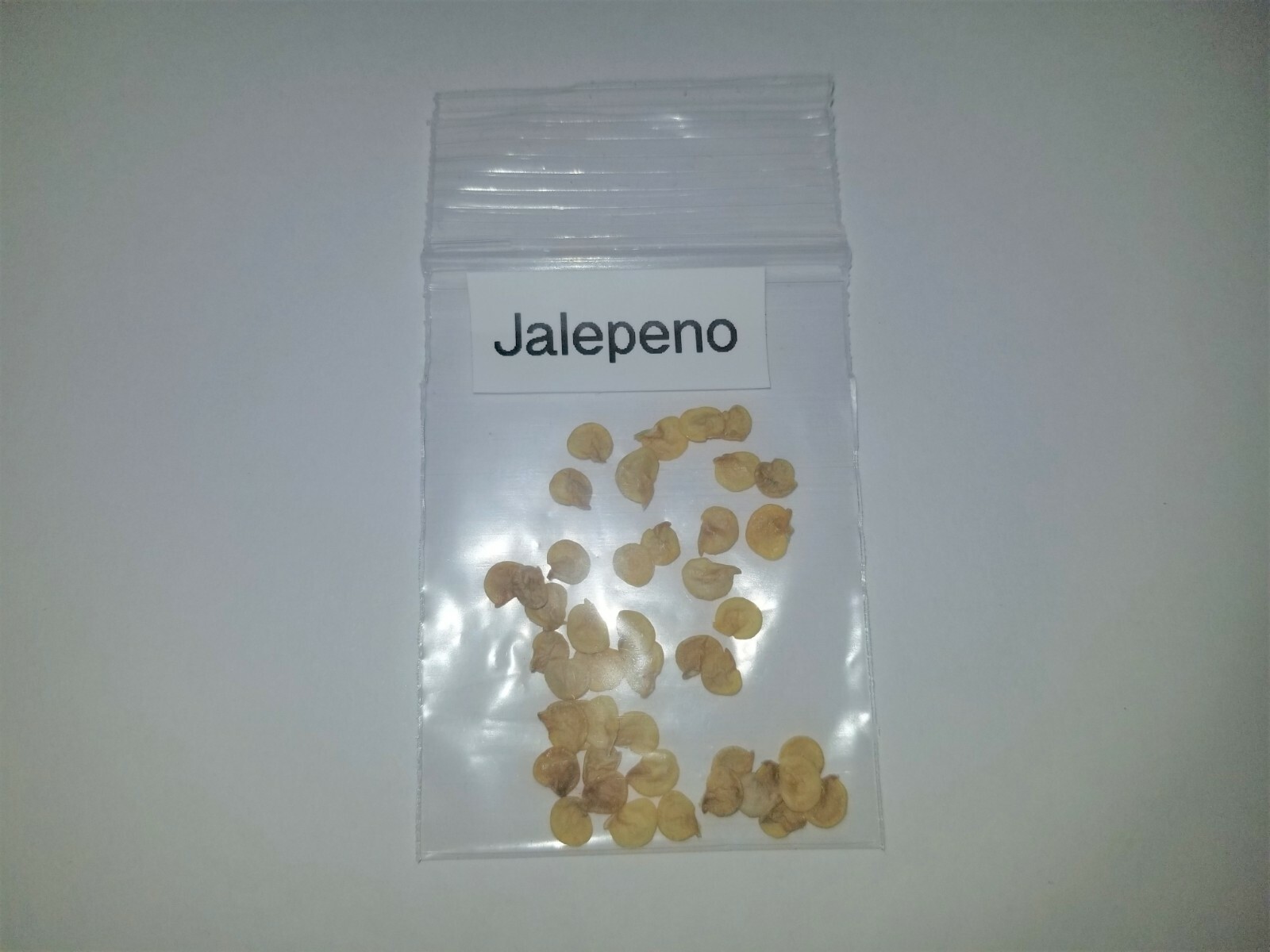  Jalapeno Pepper (25) Seeds Green to Red Tasty Vegetable Prolific Growth