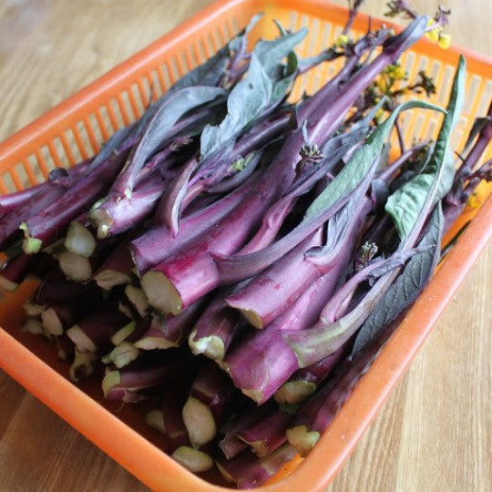 1/8-OZ 1,500 HongCaiTai HongTsaiTai Kosaitai seeds; Flowering Brassica; 紅菜台