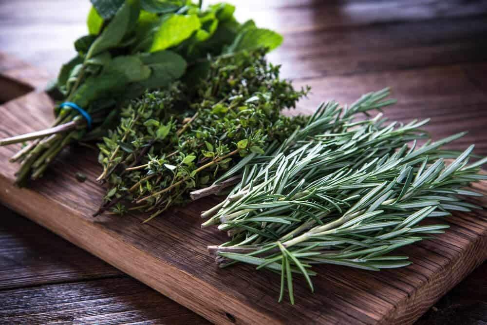 Herb Garden Kit | Chef 5 Pack | Parsley, Oregano, Cilantro, Dill, and Thyme